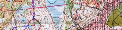 O-Ringen Borås etapp 5 (3-days men etapp 3)