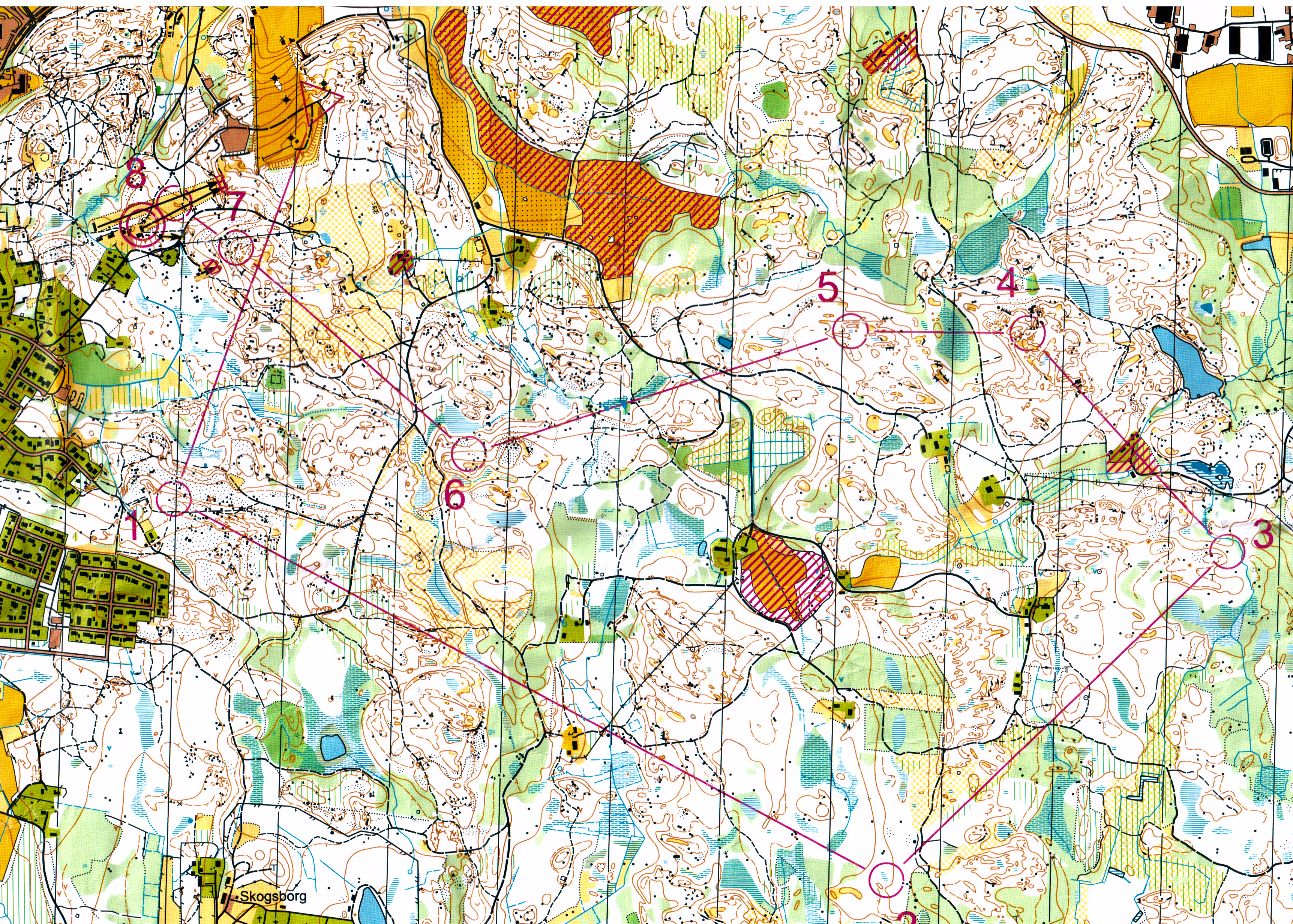 DM Lång, Västmanland (2012-09-02)
